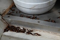 IMG_0069