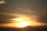 IMG_0099