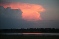 IMG_0103
