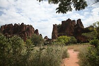 IMG_0111