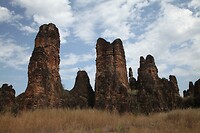 IMG_0116