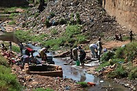IMG_0162