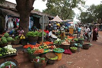 IMG_0184