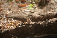 IMG_0189