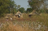 DSCN2167