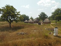 DSCN2216