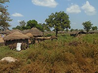 DSCN2219