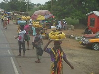 DSCN2228