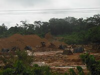 DSCN2236