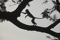IMG_0220