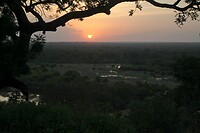 IMG_0233
