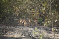 IMG_0251