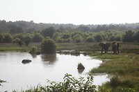 IMG_0259