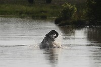 IMG_0264