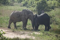 IMG_0310