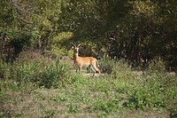 IMG_0322
