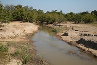IMG_0327