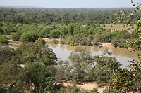 IMG_0339