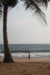 IMG_0371