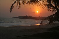 IMG_0380
