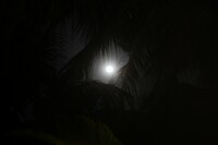 IMG_0387