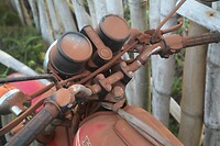IMG_0407