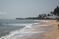 IMG_0477