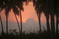 IMG_0516