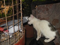 DSCN2378
