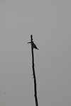 IMG_5853