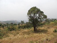 DSCN0374