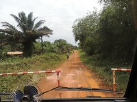 DSCN0487