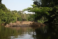 IMG_5984