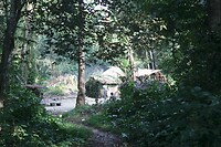 IMG_5986