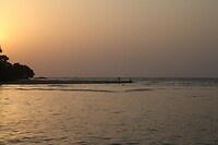IMG_6017