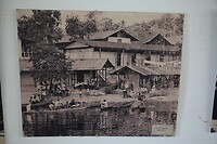 IMG_6116