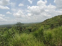 DSCN0676