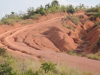 DSCN0712