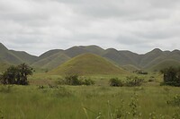 IMG_6146
