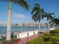 DSCN0900