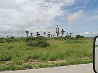 DSCN0929