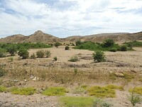 DSCN1028