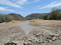 DSCN1049