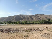 DSCN1066