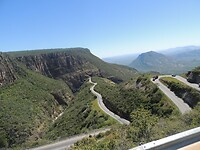 DSCN1133