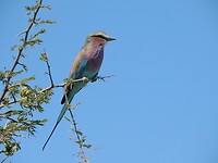 DSCN1279