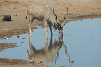 DSCN1372