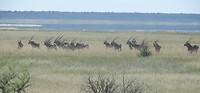 DSCN1407