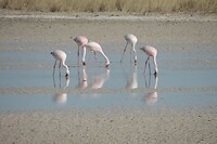DSCN1423