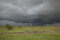 IMG_6171